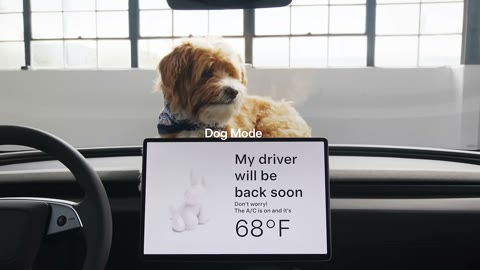 Beat 18: Self-driving