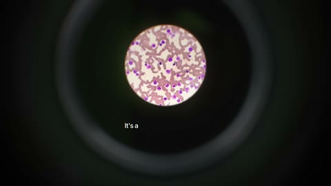 Beat 6: Microscope