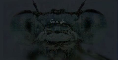 Beat 11: Longer text