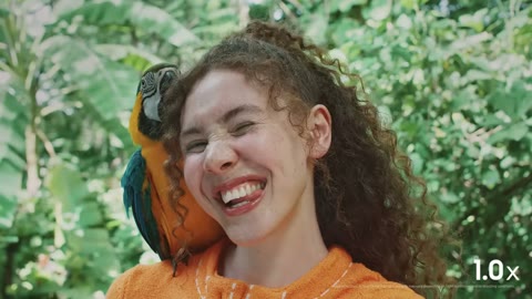 Beat 17: Parrot selfie 1.0x