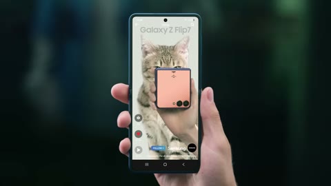 Beat 29: Feed with cat