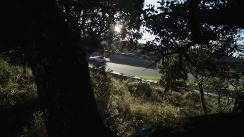 Beat 8: Low and through the trees