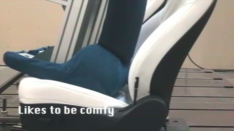 Beat 16: Seat tester