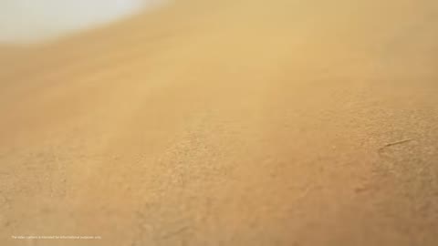 Beat 1: Sand macro