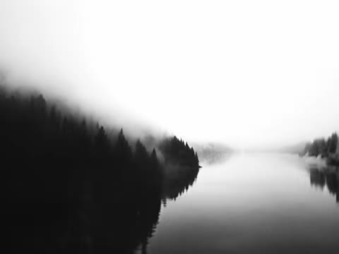 Beat 3: Roots and forest