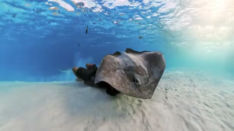 Beat 11: Underwater Tripod