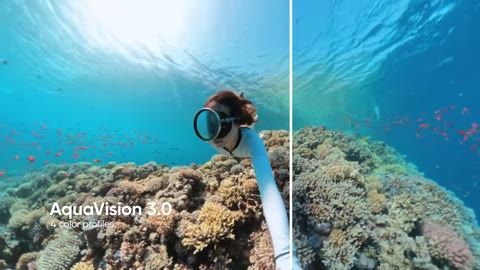 Beat 15: AquaVision