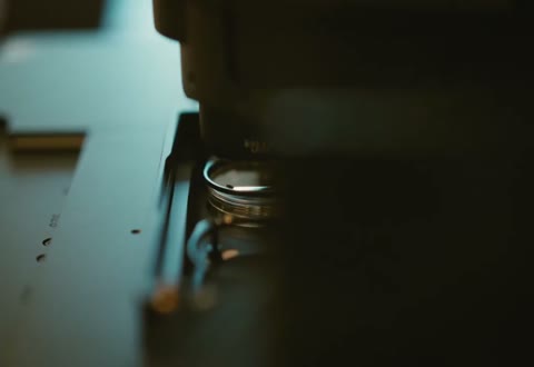Beat 2: Petri dish macro