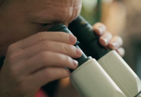 Beat 5: Microscope user