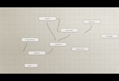 Beat 11: Tangle grows