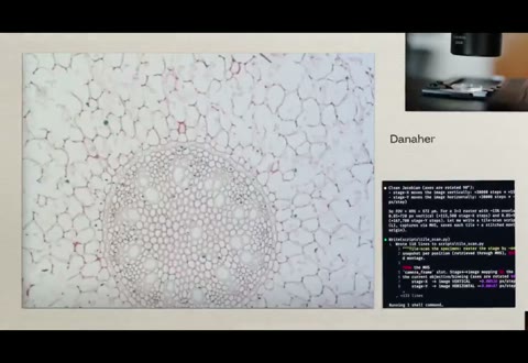 Beat 16: Danaher collage
