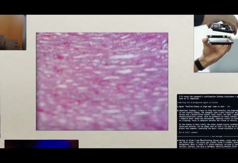 Beat 17: Slide imaging