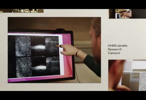 Beat 23: Janelia screen