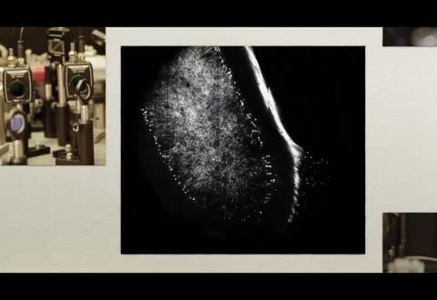 Beat 24: Tissue imaging