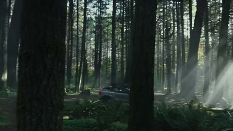 Beat 6: Forest and car