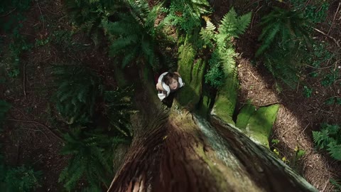 Beat 8: Boy on the forest floor