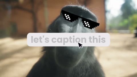 Beat 15: Let's caption this