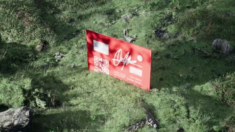 Beat 4: Red card in grass