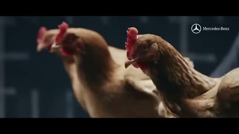 Beat 4: Flock close-up