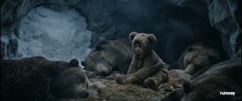 Beat 2: Paws