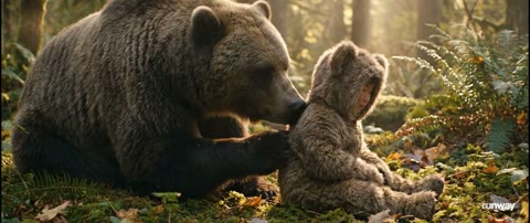 Beat 12: Three bears watch
