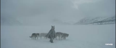 Beat 21: Wolves