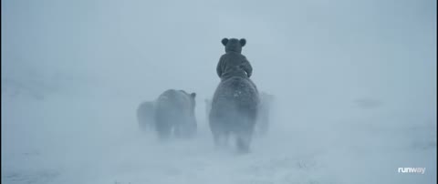 Beat 24: Walk into the storm