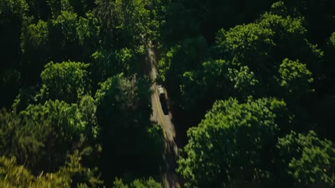 Beat 1: Forest aerial