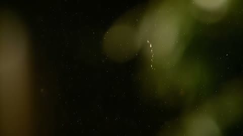 Beat 1: Dust macro