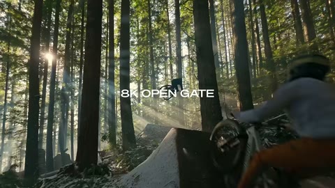 Beat 5: Filming in forest