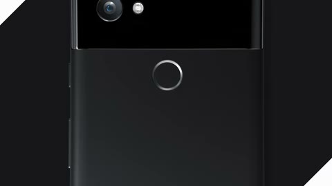 Beat 4: Black back
