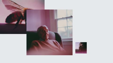 Beat 22: One style, many images
