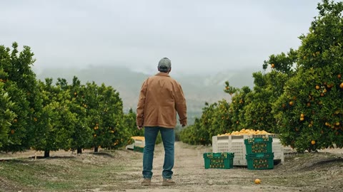 Beat 2: Farmer from behind