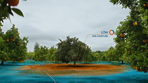 Beat 4: Soil moisture