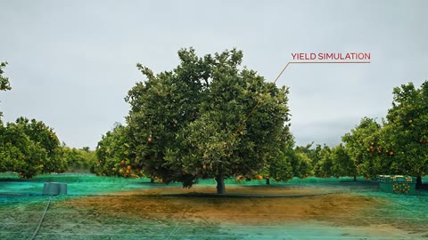 Beat 6: Yield simulation
