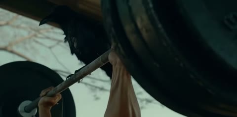 Beat 9: Tyres and bench