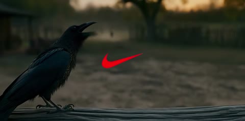 Beat 20: Swoosh and crow