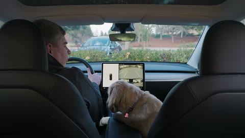 Beat 1: Puppy rides along