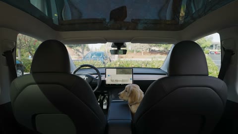 Beat 4: Dog Mode button
