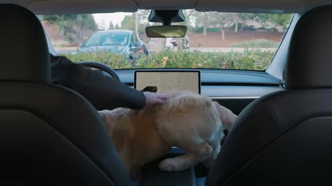 Beat 13: Driver returns