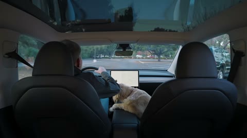 Beat 14: Pets and cuddles