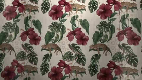 Beat 5: Hibiscus wallpaper