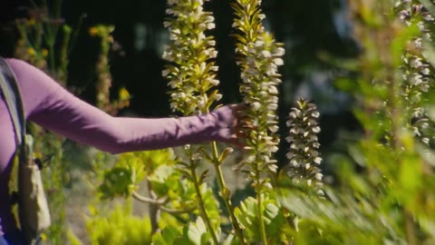 Beat 3: Hand on flowers