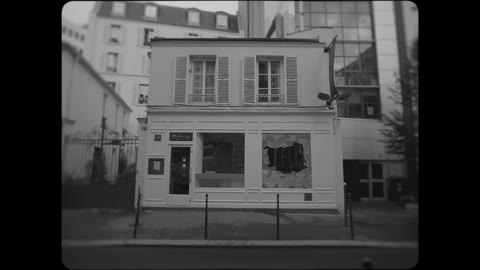 Beat 10: Heron over Paris