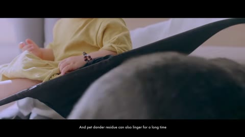 Beat 8: Mattress mites