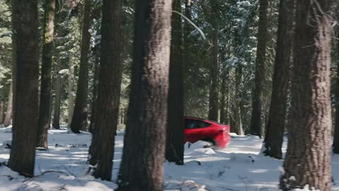 Beat 12: Car in the trees