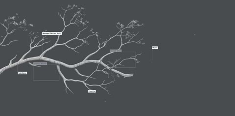 Beat 11: Branch appears