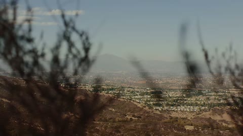 Beat 42: Through the brush