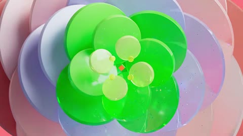 Beat 4: Petals