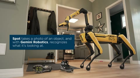 Beat 5: Recognises object